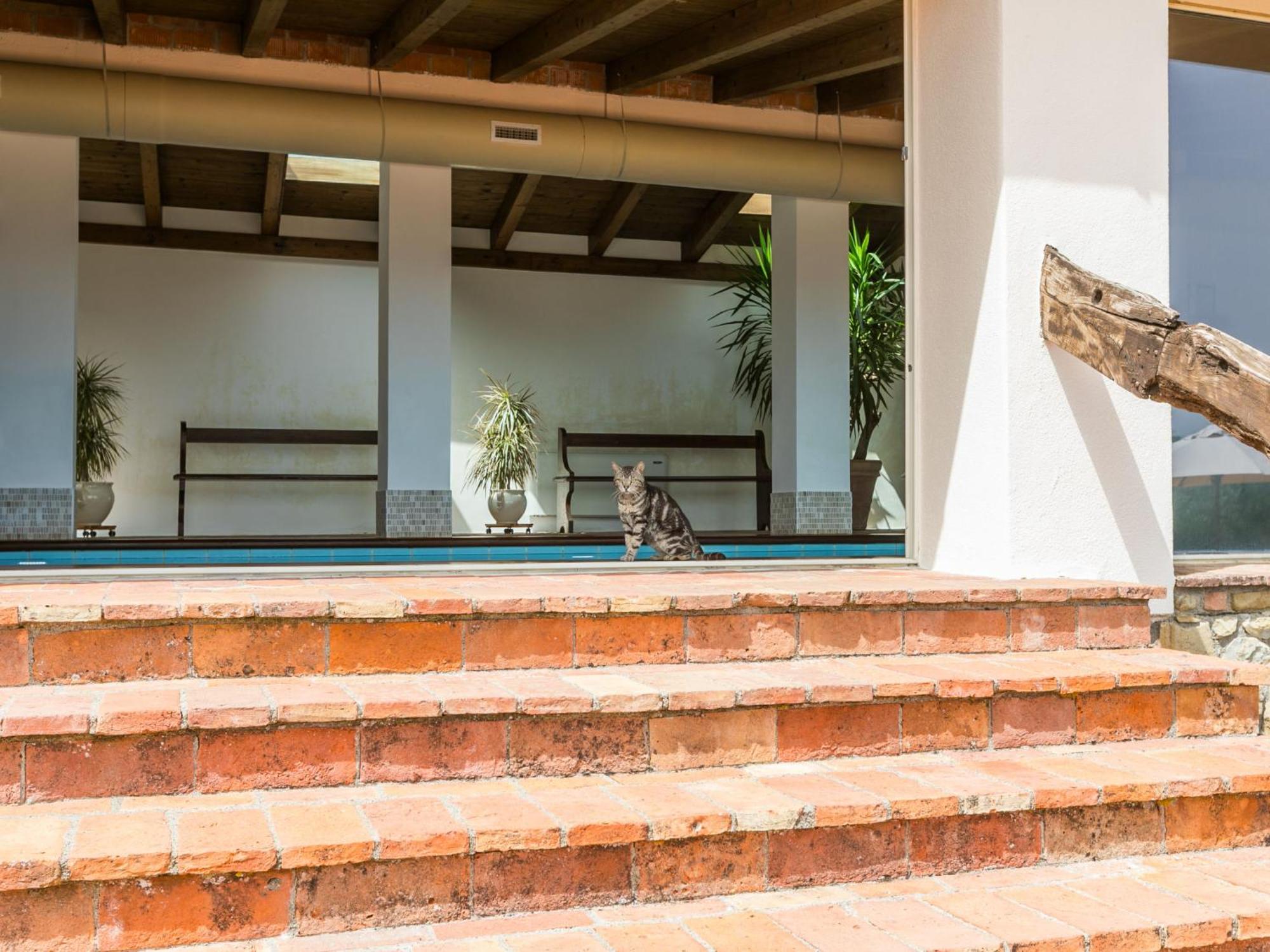 Apartment Santa Marta By Interhome Cinigiano Exterior photo